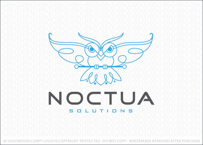 Noctua Owl Logo For Sale