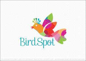 Bird Spot Logo For Sale