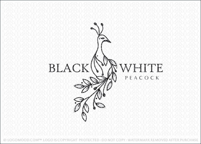 Black and White Peacock Bird Logo