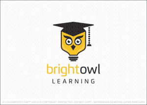 Bright Owl Learning Logo For Sale