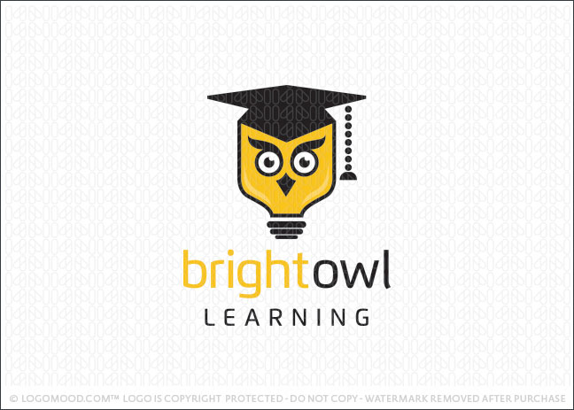 Bright Owl Learning Logo For Sale