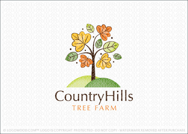 Country Hills Tree Farm Logo For Sale