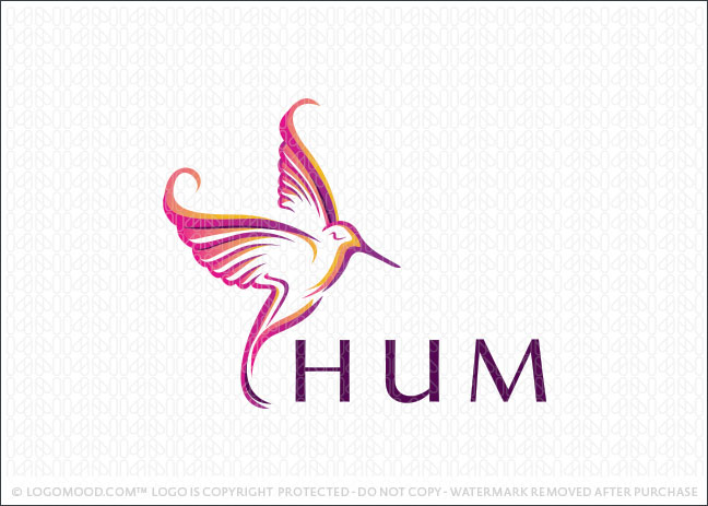 Humming Bird Logo For Sale