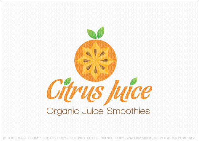 Juice Fruit Logo For Sale