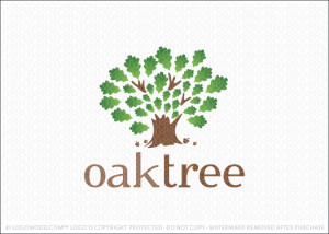 Oak Tree Logo For Sale