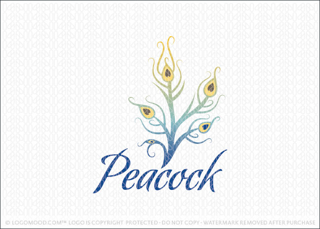 Peacock Feather Logo Sale