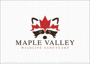 Raccoon Canadian Maple Leaf Company Logo For Sale