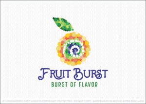 Fruit Burst Juice Bar Logo For Sale