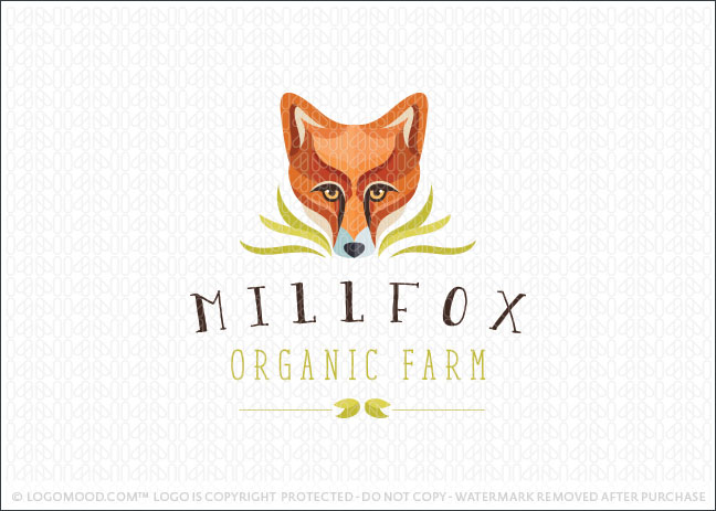 Fox Head Illustrative Logo For Sale