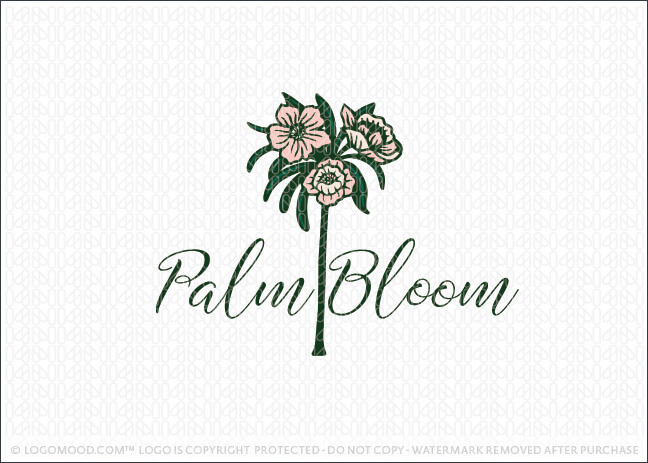 Palm Bloom